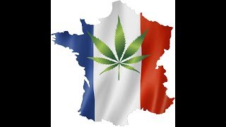 LÉGALISATION DU CANNABIS EN FRANCE  LHYPOCRISIE DES POLITIQUE ET DE LA LOI FRANÇAISE [upl. by Rosdniw]