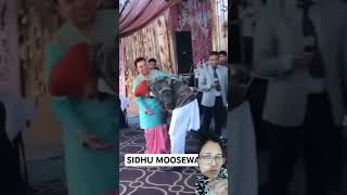 sidhu moosewala 295 punjabi punjabisong justiceforsidhu justice live moosa [upl. by Alleira]