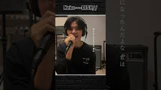 DISHNeko最近この曲本當にハマってます（笑）shorts cover [upl. by Askwith681]