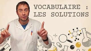 Vocabulaire  les solutions [upl. by Laurice]