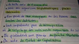 Biologie animale  les némathelminthes intro  جذ هام [upl. by Loutitia]