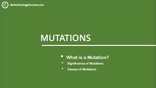 Basics of Mutations  What is a Mutation Significance and Causes of Mutations [upl. by Teddy]