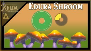 Endura Shroom Farming Locations  The Legend of Zelda Breath of The Wild [upl. by Bushweller]