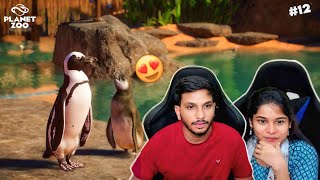 KING PENGUIN IN MY ZOO  PLANET ZOO IN TELUGU  PART 12 [upl. by Euqnom]