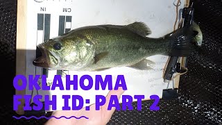 Oklahoma Fish ID  Part 22 [upl. by Kusin]