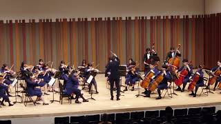 Tchaikovsky Serenade for Strings IV Finale  Super Kids Orchestra  Conductor Riku Okamoto [upl. by Drofdeb215]