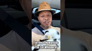 Terrence Howard Saving Kittens MAYNE [upl. by Enilrahc]