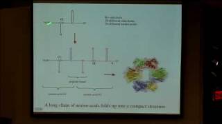 35 Enzyme catalysis [upl. by Sucramraj]