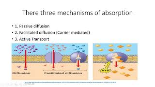 Carbohydrates Metabolism Digestion and Absorption  Lecture 10a [upl. by Reiser]