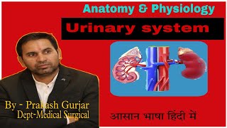 Nephrology amp urology difference between nephrology or urology [upl. by Nevlin385]