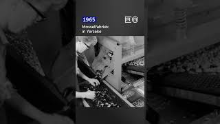 🎞️ Een kijkje in een Mosselfabriek 1965 Shorts [upl. by Tayler]