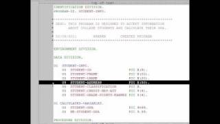 Different Dataitem Levels in COBOL [upl. by Nahtnoj]