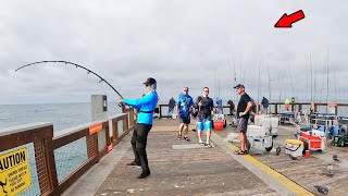 Fish of a Lifetime Caught from the Gulf Pier [upl. by Fernandina200]