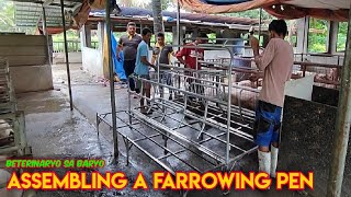 Pagbuo ng Prefabricated Farrowing Pen [upl. by Ellevehs]