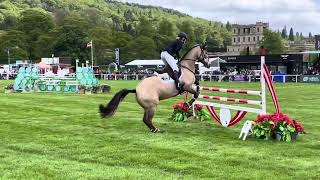 Tir Na Nog Shadow Showjumping [upl. by Revolc]