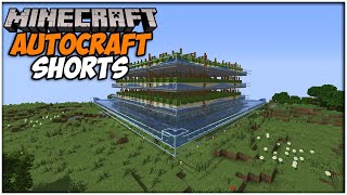 Minecraft MEGA Cactus Farm  AutoCraft SMP Shorts [upl. by Assetniuq602]