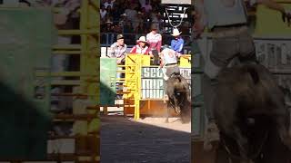 ¡Solo los valientes dominan al toro 🐂 Jaripeo ValorVaquero MorenaVision FuerzaEnElRuedo [upl. by Gove600]