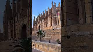 📍 CatedralBasílica de Santa María de Mallorca spain mallorca [upl. by Bullen311]