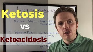 Ketosis vs Ketoacidosis  Whats The Difference [upl. by Ahsekram493]