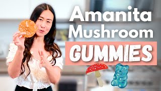 How To Make Your Own Mushroom Gummies With Amanita [upl. by Ailekat248]