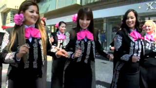 Mariachi Divas en HOY Los Angeles [upl. by Karli]