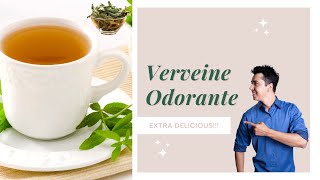 Verveine citronnelle Aloysia Citriodora  tisane aux multiples bienfaits [upl. by Sordnaxela]