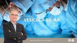 Cirurgia da Vesícula biliar  Prof Dr Luiz Carneiro CRM 22761 [upl. by Anon]