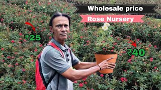 Exploring leelakanth Rose 🌹 🥺nursery Garden in punugamaranahalli SyedIbrahimVlogs22 [upl. by Ealasaid]