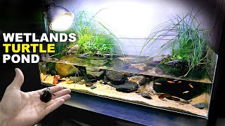 Discovering the Most Beautiful and Larger Fish Tank Aquatic Masterpieces [upl. by Anelet]