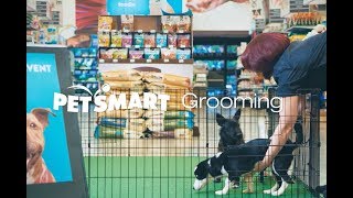 Shelter Dogs Groomed with Love  PetSmart [upl. by Alexi477]