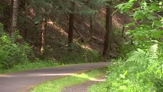 Digital Exclusive BanksVernonia State Trail takes you into forest away from crowds [upl. by Ahsuatan435]