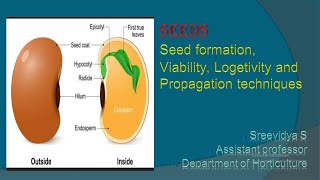 Seed formation Viability Longevity and Propagation techniques [upl. by Gnilrets]