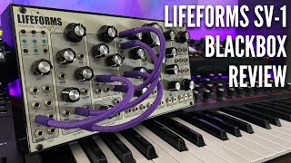 Pittsburgh Modular Lifeforms SV1 Blackbox Review  is it worth it [upl. by Namqul]