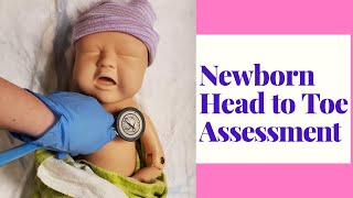 NEWBORN HEAD TO TOE ASSESSMENTOB SKILLS DEMO [upl. by Yeltihw990]