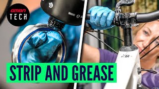 Strip And Grease An MTB  What You Need And Where [upl. by Nosredneh]