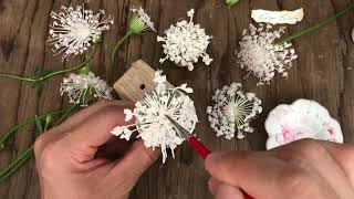 디디스커스 파이핑 How to pipe flower laceflower didiscus pipingflowers pipingtechniques 앙금플라워 [upl. by Gaal]