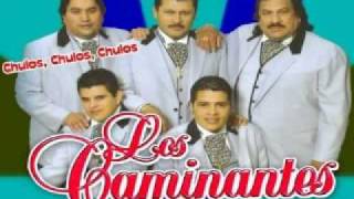 Los Caminantes Baila Mi Cumbia [upl. by Eustace]