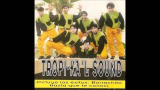 TropiKal Sound  Toda la Noche [upl. by Adnahsal]