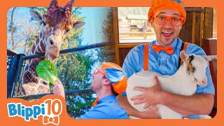 Blippis Best Animal Moments Top 10 Adventures  Blippis Top 10  Educational Videos for Kids [upl. by Gati49]