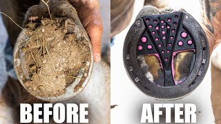 Satisfying Full Horse Hoof Restoration  4K FARRIER ASMR [upl. by Garwin]