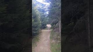 Arena Platos Sibiu foryou mtb sibiu [upl. by Otreblon702]