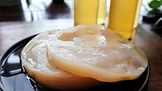 KOMBUCHA ¿Qué es ¿Cómo se prepara [upl. by Libbi735]