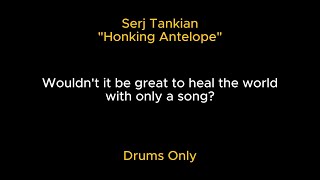 Serj Tankian  Honking Antelope Drums Only [upl. by Rucker]