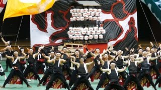 4K笑゛大トリ 2016犬山踊芸祭 ナイト会場 よさディスコ [upl. by Einotna]