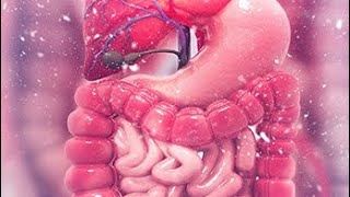 Diverticulum part 1 [upl. by Odnalra810]