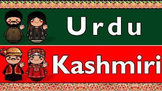 INDOIRANIAN URDU amp KASHMIRI [upl. by Yulma]