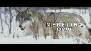 ISMUT  Medelina  official Video [upl. by Calore]