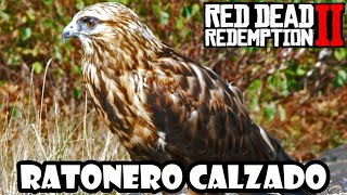 Donde encontrar el RATONERO CALZADO en Red Dead Redemption 2✔️ [upl. by Garvey]