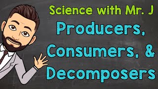 Producers Consumers and Decomposers  Ecosystems [upl. by Anelle]