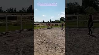 lallenamento continua iniziamo a galoppare disney disneyland cavalli galoppo cavallo [upl. by Heringer]